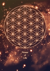 ทางช้างเผือกอันสดใสดอกไม้แห่งชีวิต 7