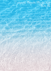 Tropical Beach Photo 303 Not AI