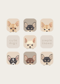 DOGS - Chihuahua - BEIGE GRAY