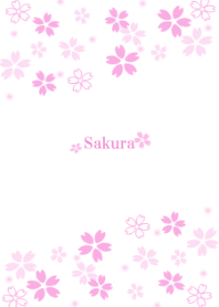 Sakura　さくら