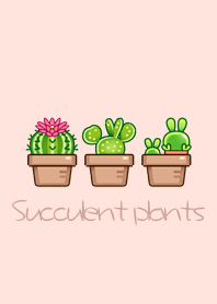 Succulent plants in City