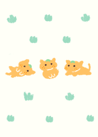 tangerine cat みかんねこ