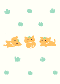 tangerine cat