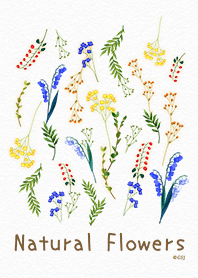 ナチュラルな花たち♪