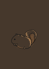 squirrel staring - 1