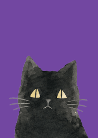 A unique cat05 purple