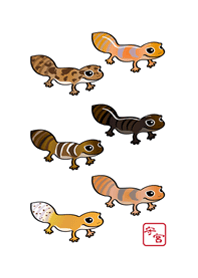 私が育てたかわいいヤモリ（真っ白）