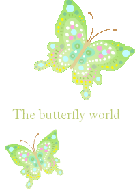 The butterfly world
