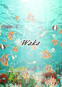 Waka Coral & tropical fish2