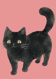 A unique cat04 light pink