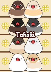 Takeki Round and cute Java sparrow