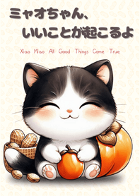 ミャオちゃん、いいことが起こるよ (JP)
