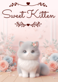 Sweet Kitten No.552