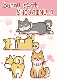 sunny spot SHIBAINU No.4 SAKURA