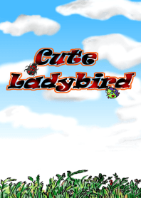 Cute Ladybird