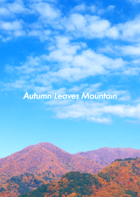 Autumn leaves mountain