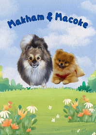 Makham&Macoke2
