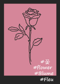 #flower rose(black pink)