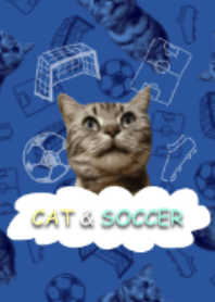猫&サッカー