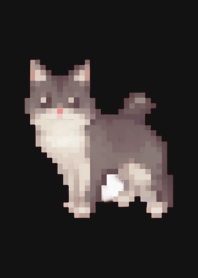 ธีมศิลปะพิกเซลแมวดำ BW 02