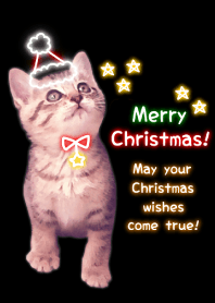 -- Christmas 2019 -- 8