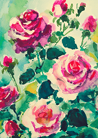 Beautiful rose flower(R4334)