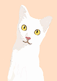 white cat m