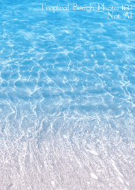 Tropical Beach Photo160 Not AI