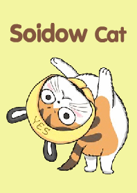 soidow cat