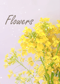 Light and happy spring flowers5.