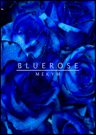 BLUE ROSE-DARK 4