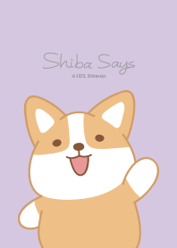 Shibasays Theme 09 Purple