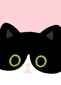 Tuxedo cat and Black cat._pink