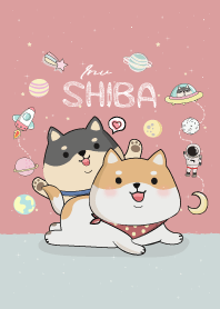 Shiba Cute On Space.