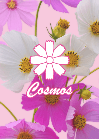 "Cosmos theme"