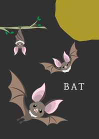 Bat Simple -JPN-