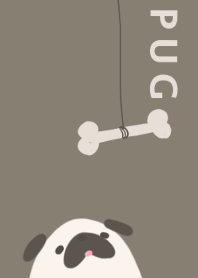 Little Pug