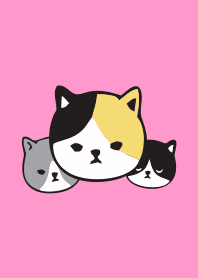 Peeping cats
