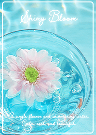 Shimmering Water Bloom01_1