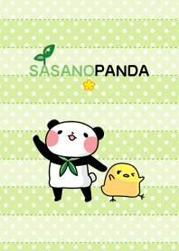 sasanopanda