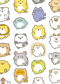 可愛的動物奔跑