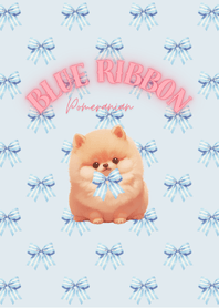 Blue Blue ribbon Pomeranian