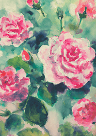 Beautiful rose flower(R4892)