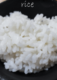 ごはん～最高の食材～