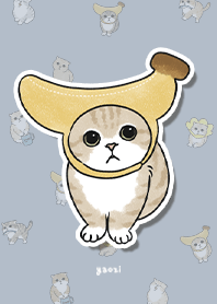 neko combo3 / slate blue