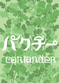 パクパク パクチーの着せかえ（大盛）