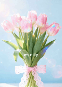 My Tulip 3