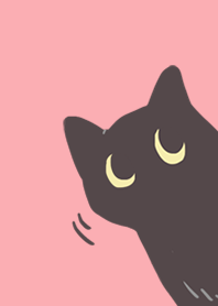 AYS BLACK CAT SAMPLE (PINK)