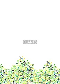 PLANT 001