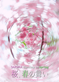 Sakura dancing in spring 3